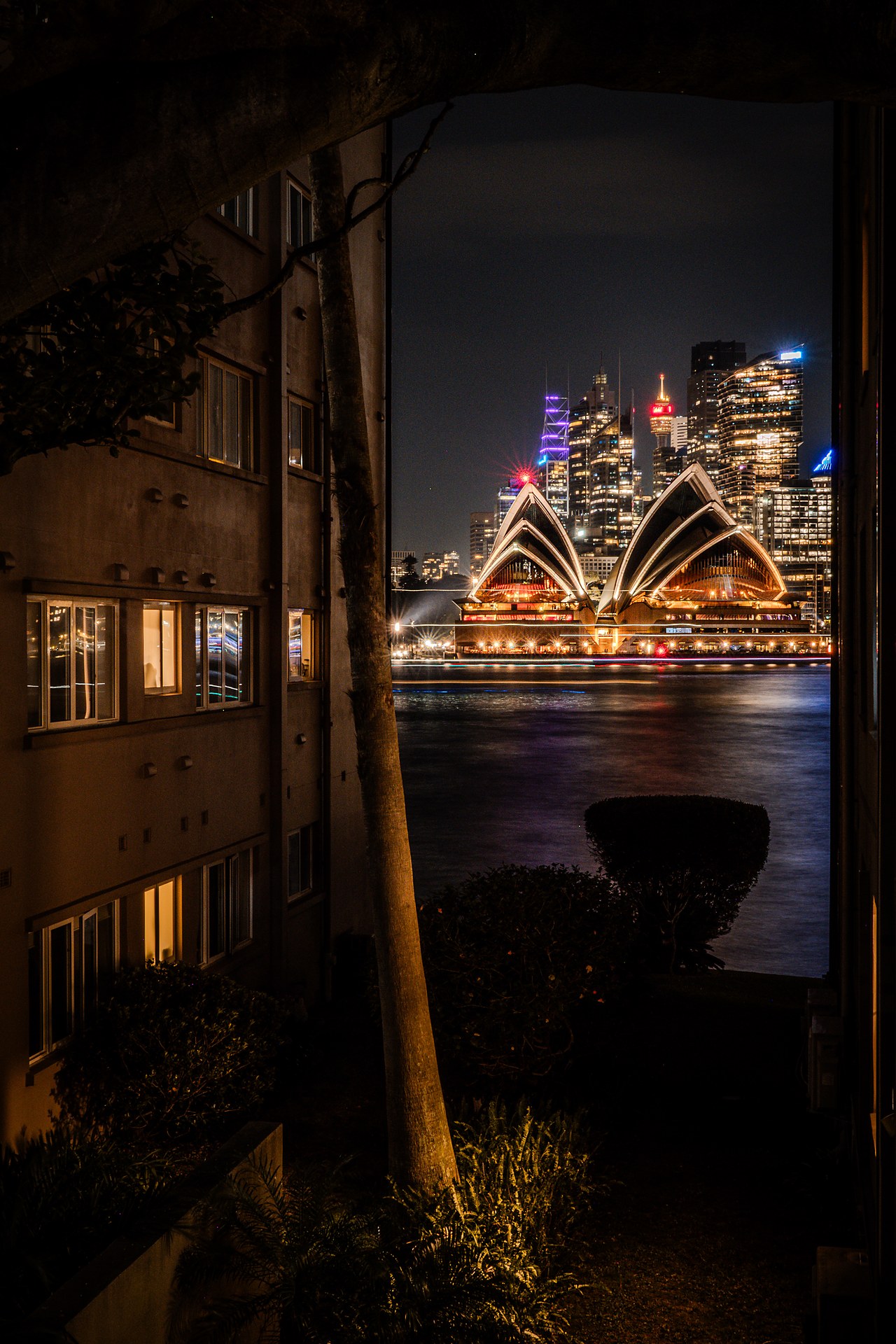 Sydney Opera House and city skyline at night, framed between a building and fig tree