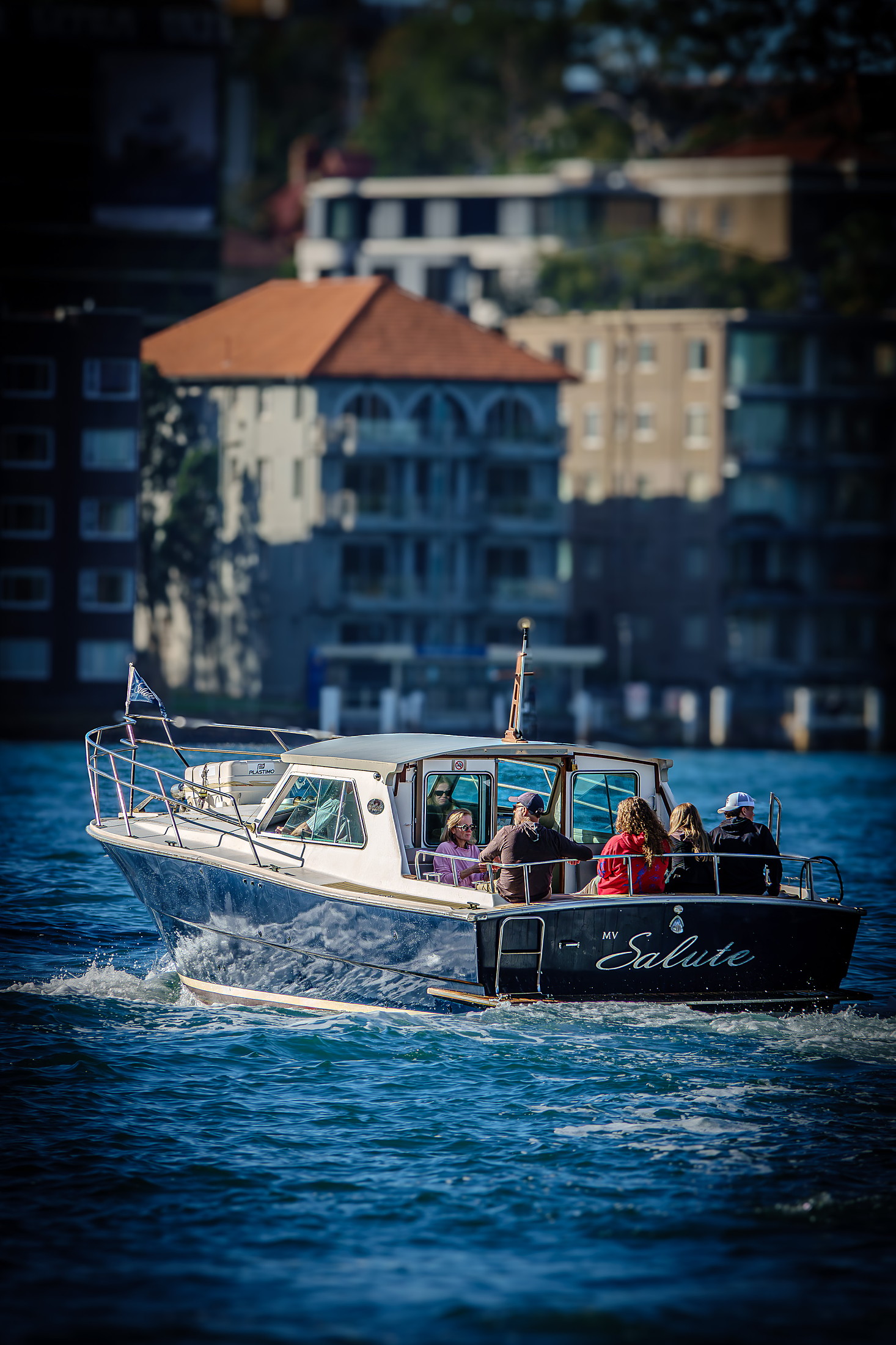 Mv Salute